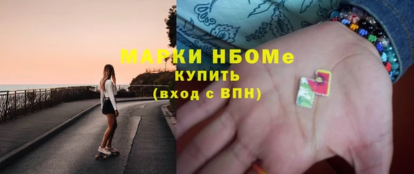 гашик Алексин