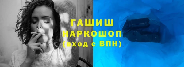 гашик Алексин