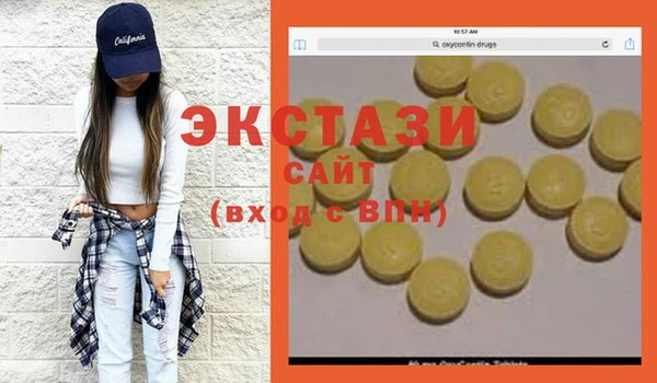 гашик Алексин