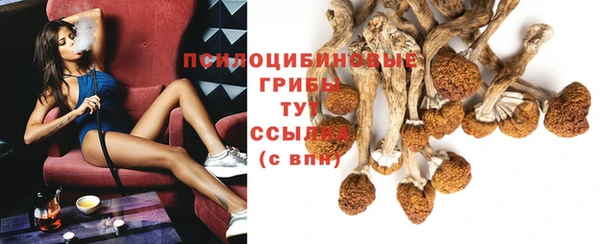 бутират Алзамай