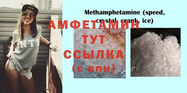 гашик Алексин