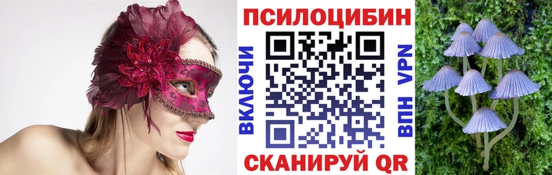 Галлюциногенные грибы GOLDEN TEACHER Ивдель